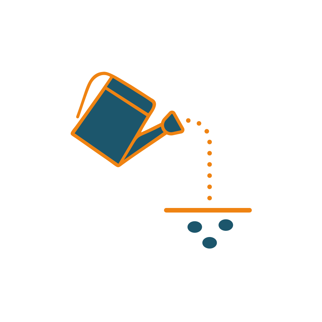 Resume Blossom's Expert Resume Writing